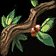 Herbalism